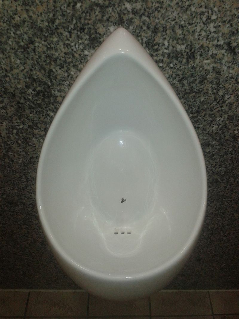 fly image in urinal