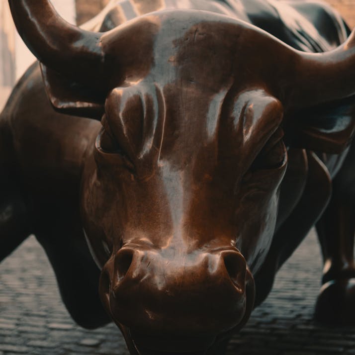 I Got in Early on WallStreetBets: How a Bunch of Nobodies Flipped the Tables on Wall Street
