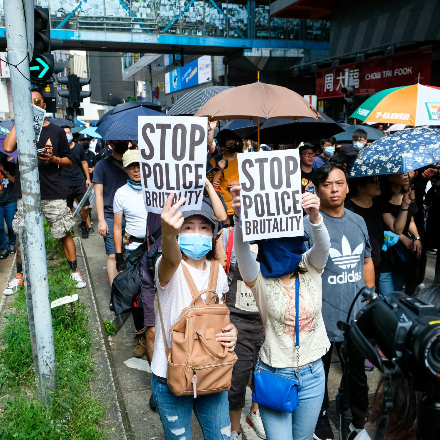 Protestors