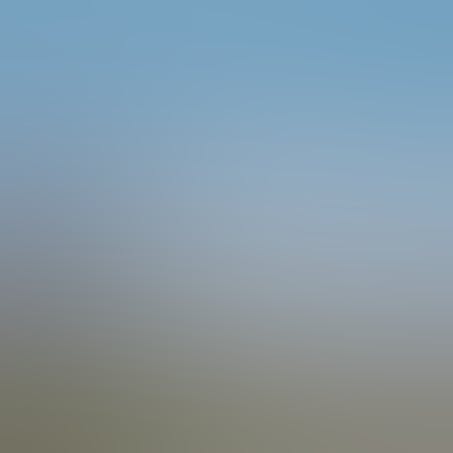 Two men walking