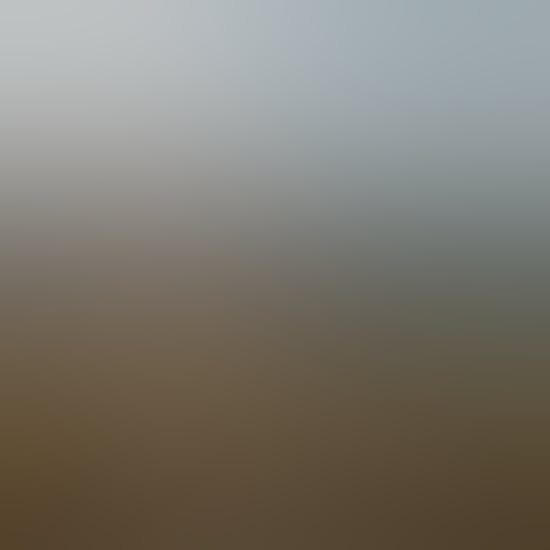 A hiker looks at mountainous wilderness