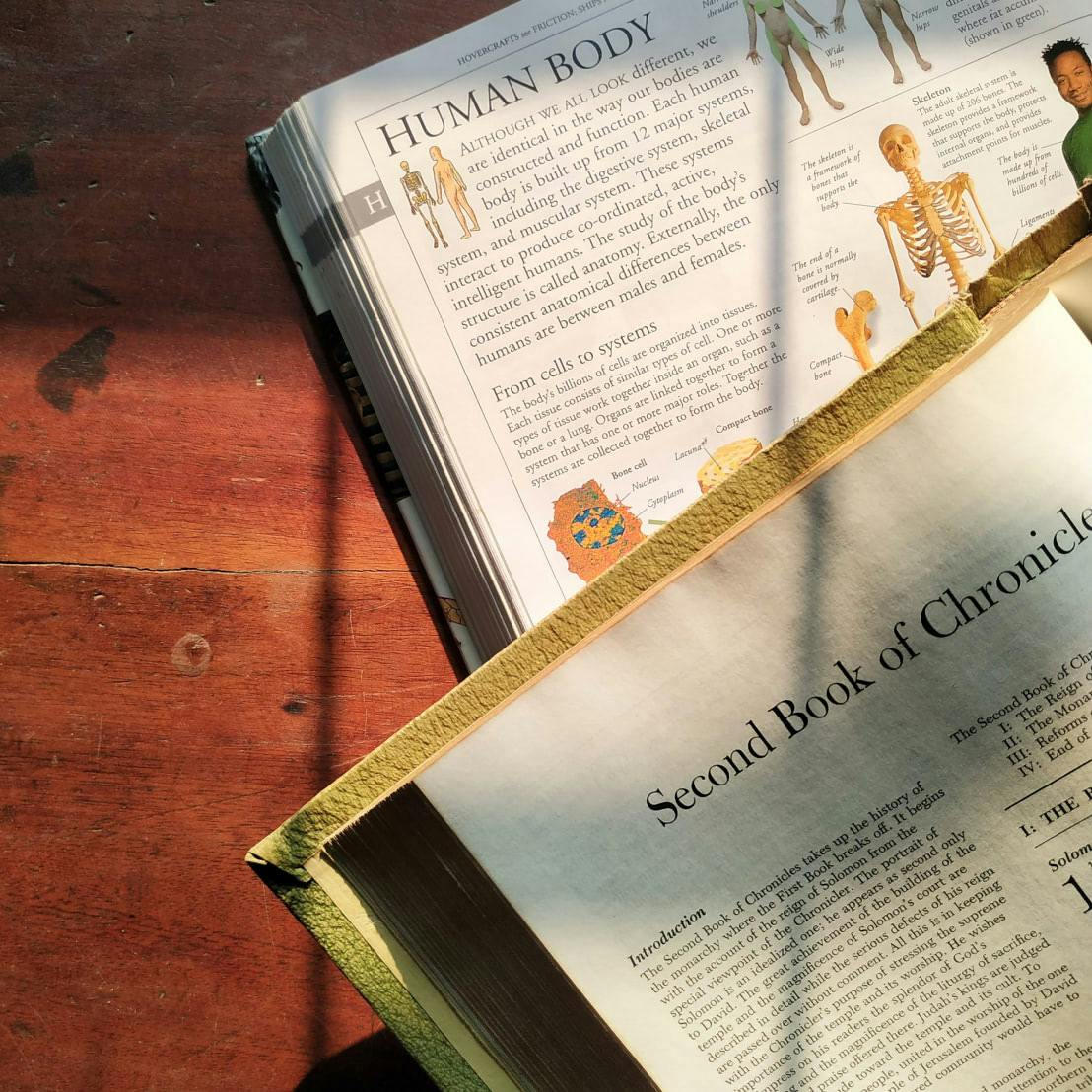 The Bible open on top of an open science textbook.