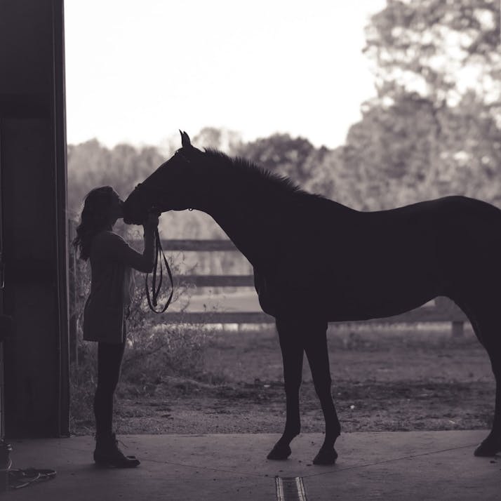 I Love Horses, but the Equestrian World Crushed Me