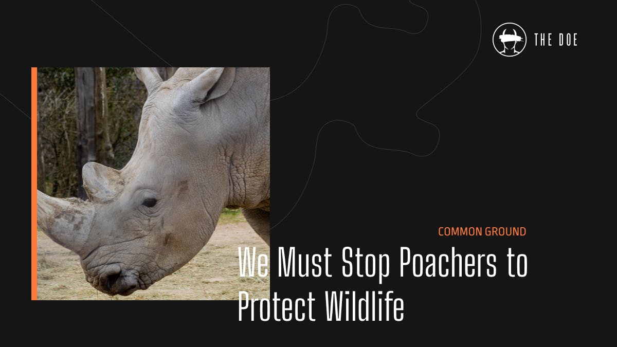 We Must Stop Poachers to Protect Wildlife | The Doe