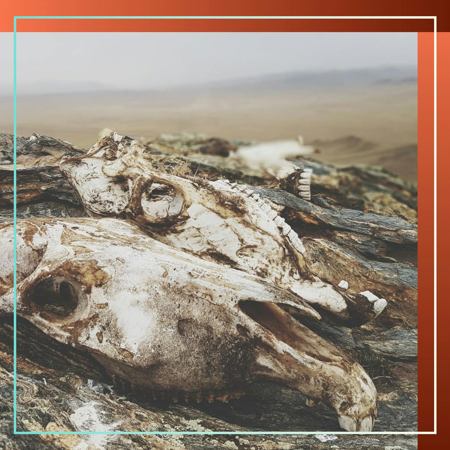 To Cope with Eco Anxiety, I Had to Come to Terms with Death