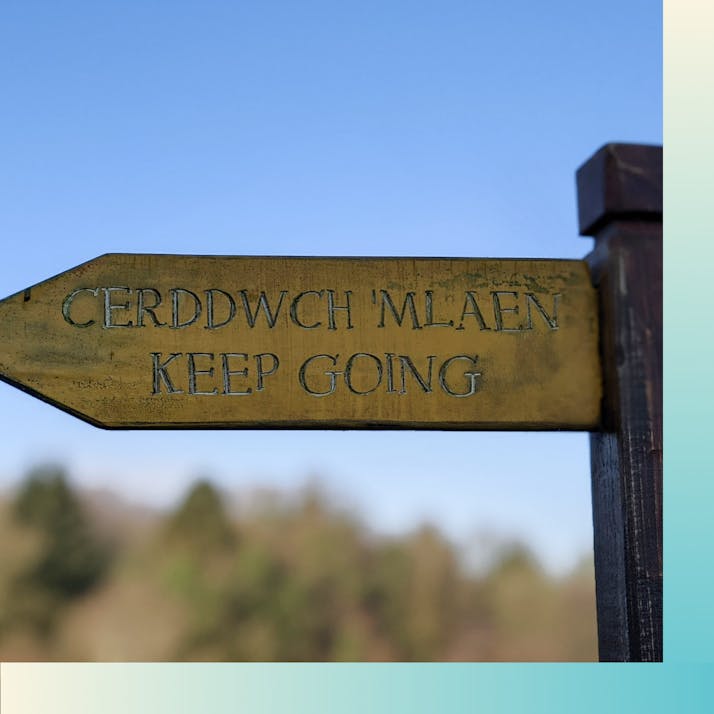 The Welsh Language Is Endangered—I’m Doing My Best to Preserve It