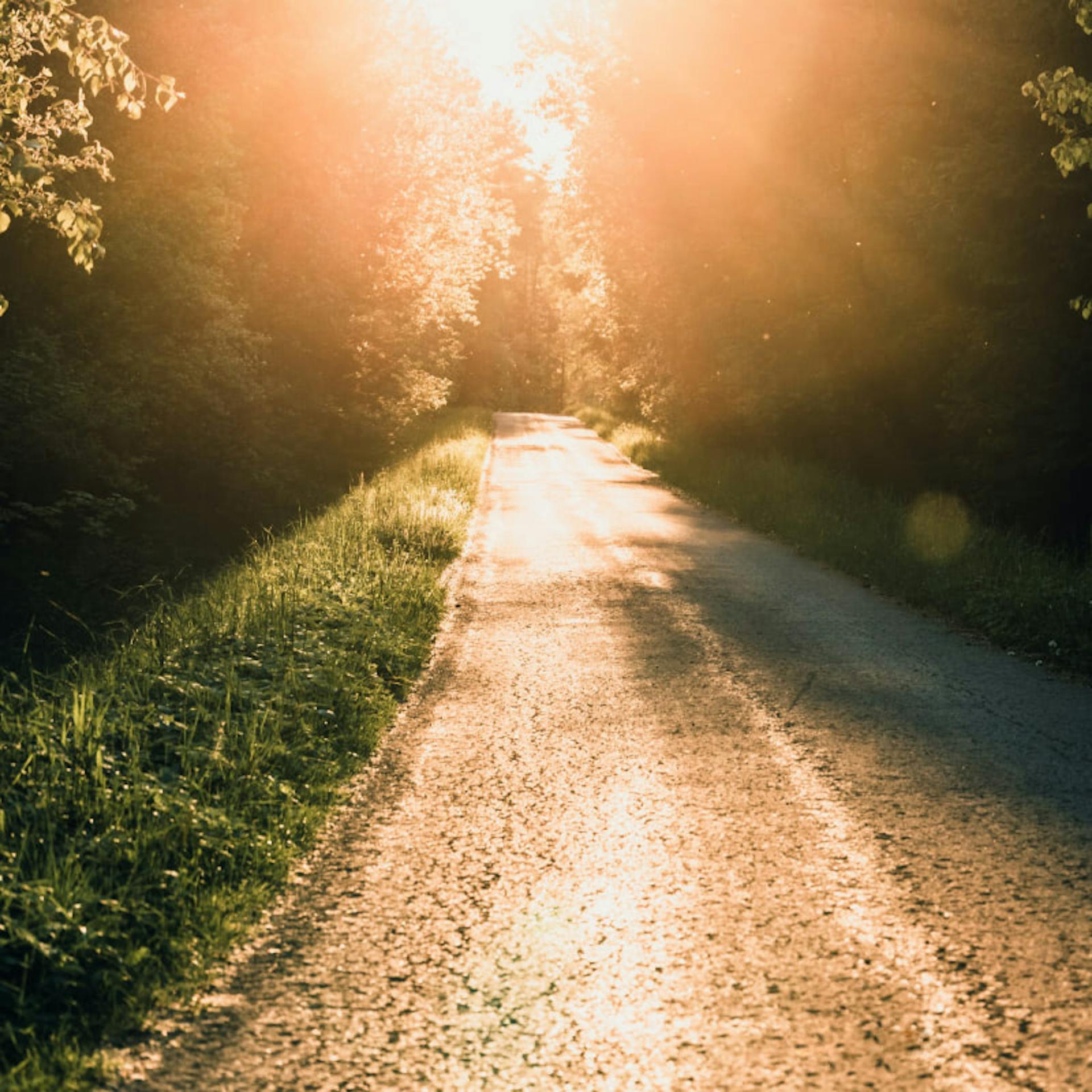 A new path opening.