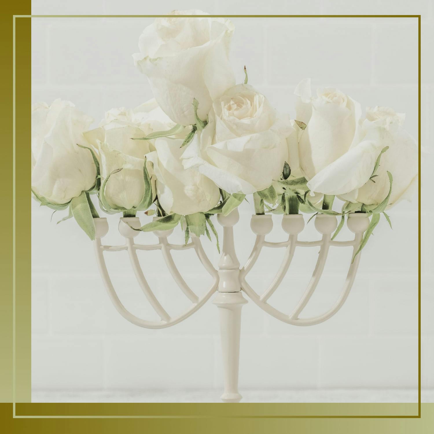 A Lifetime of Non-Religious Indifference: How My Jewish Tradition Is Socialism