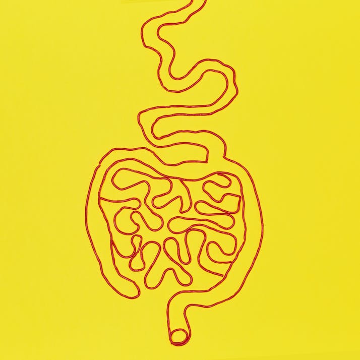 Colon drawing