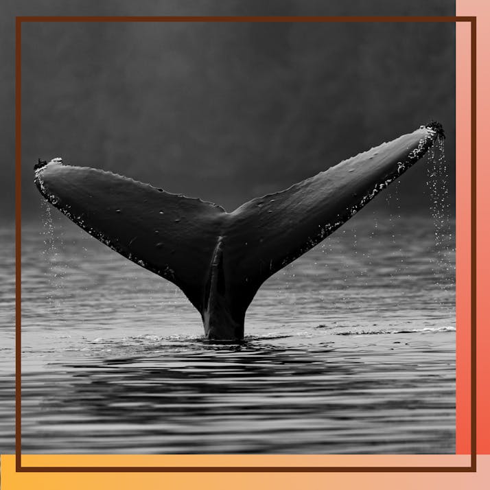 They Called Me 'Whale': My Journey Through Overeating