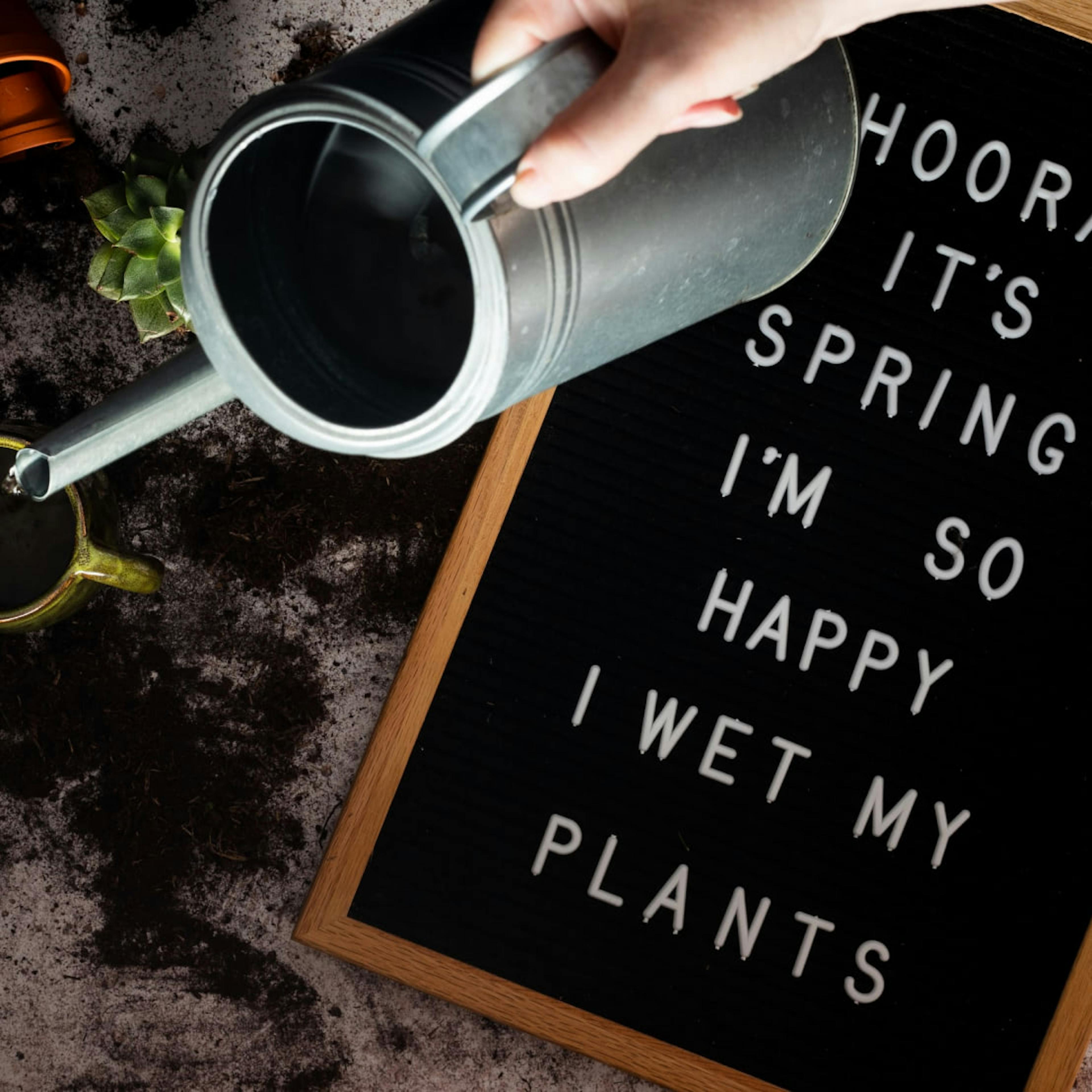 Use your own pee to wet your plants.