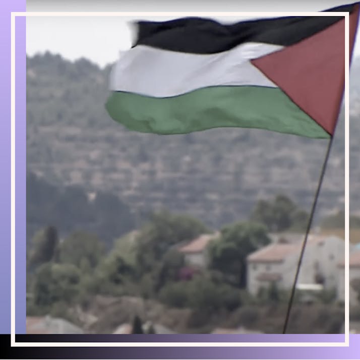Israel Treats Palestinians How Americans Treat Black People