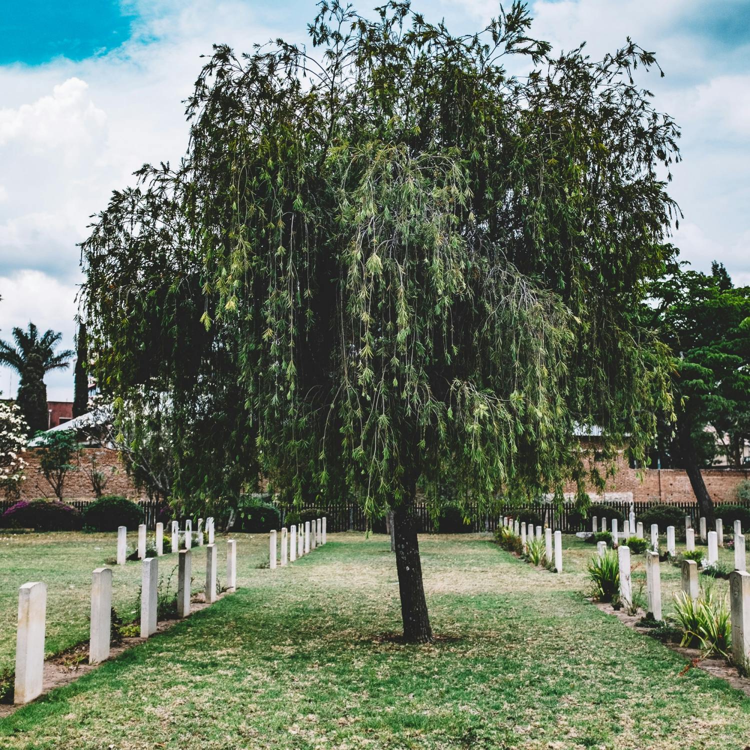 When My Father Died, I Turned to YouTube for Online Grief Support