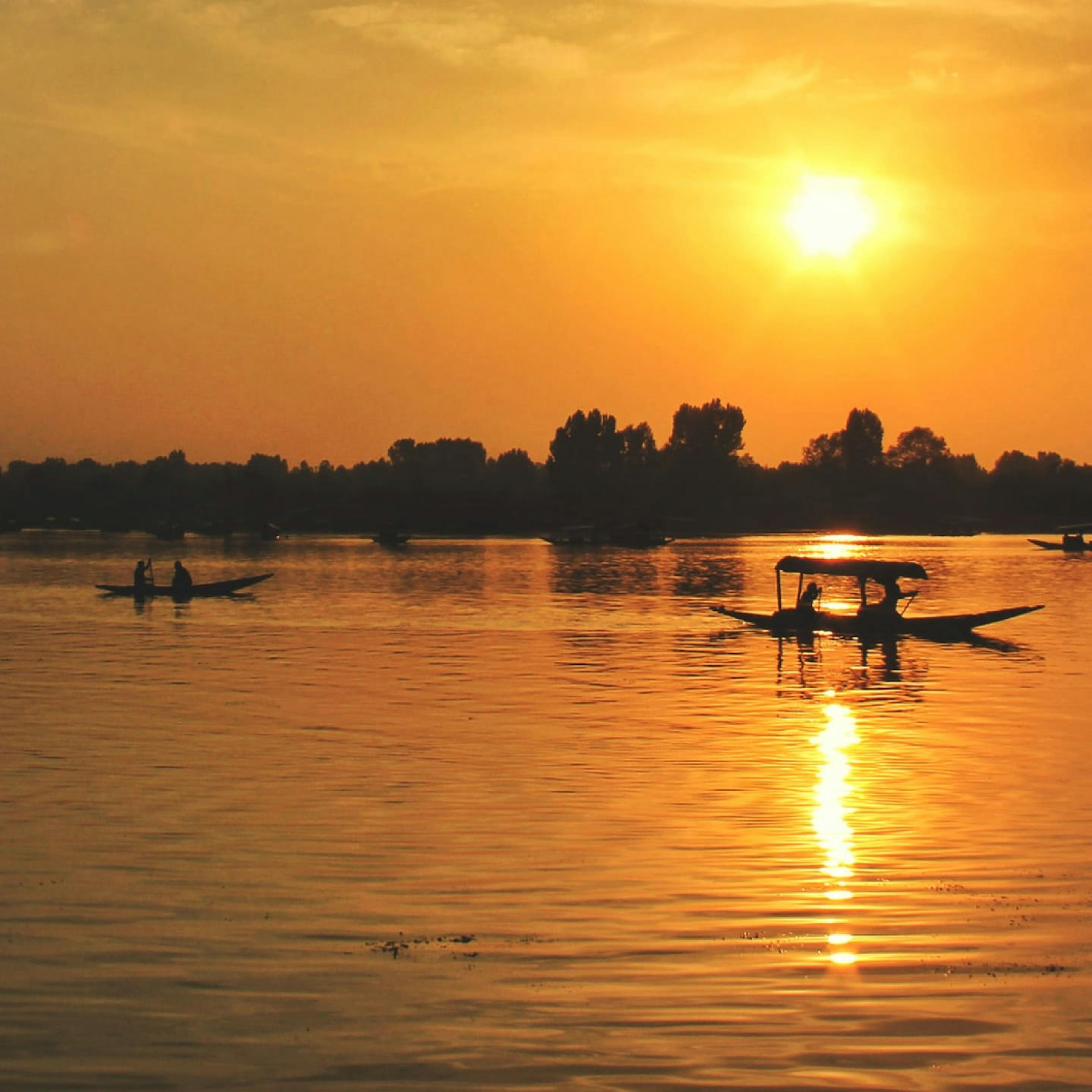 Gone Fish: The Beautiful Lakes of Kashmir Are Vanishing