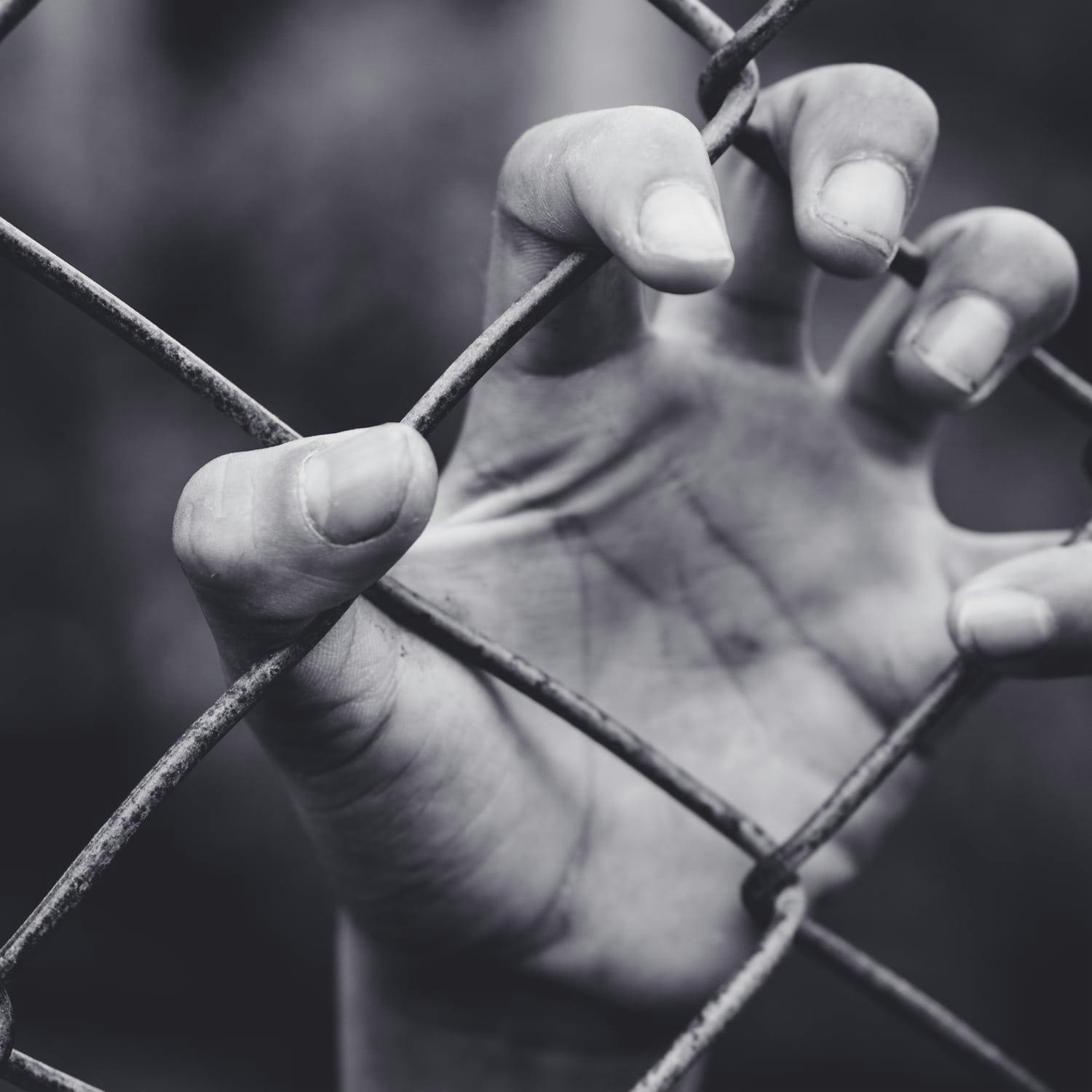 I Grew Up in a Palestinian Refugee Camp