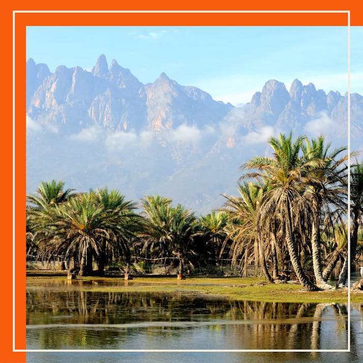 What It’s Like Staying on Yemen’s Remote Socotra Island