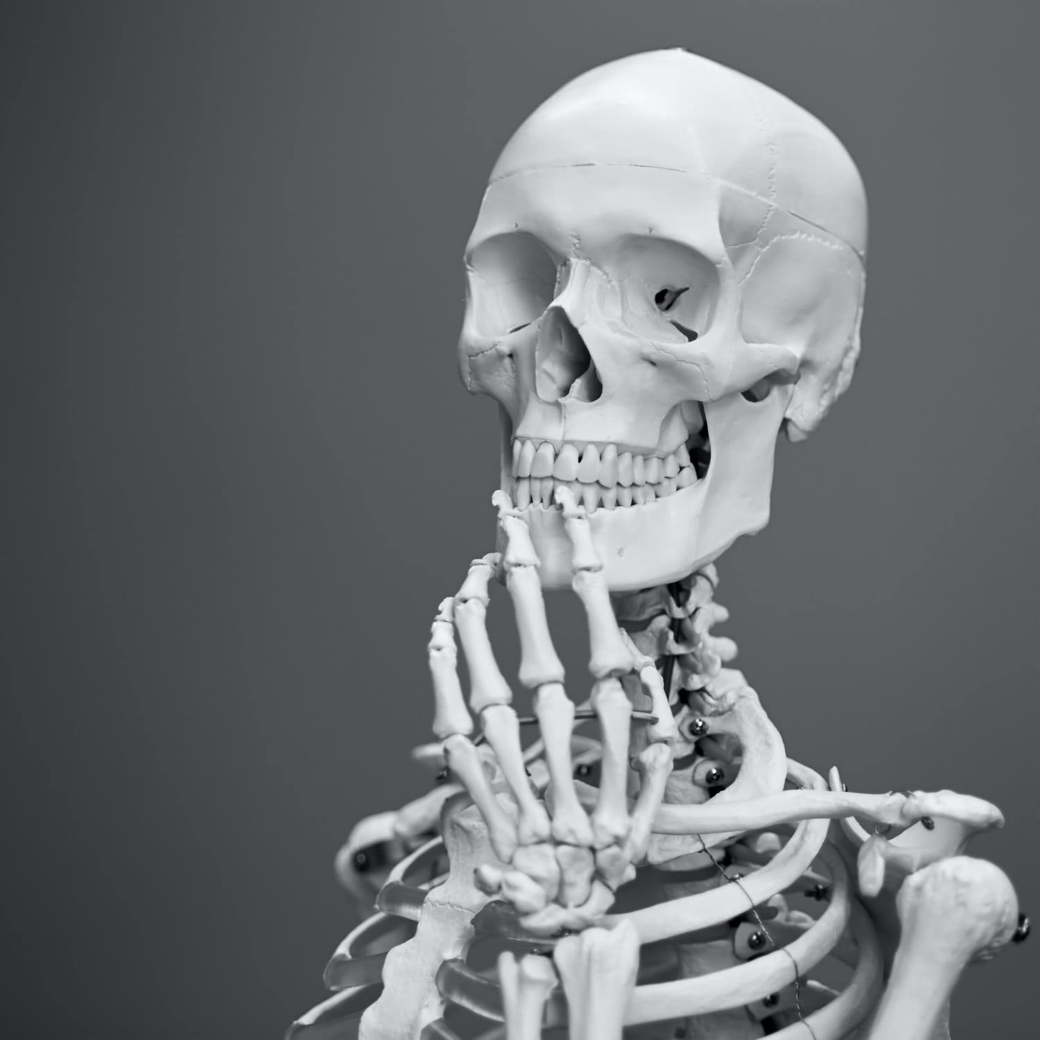 My Journey From Evolutionist to Creationist