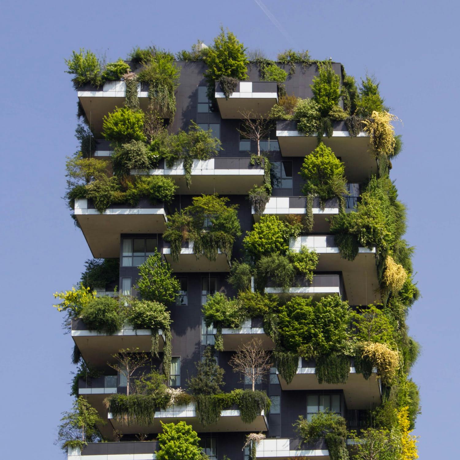 Architectural Solutions to Climate Change and Humanity's Future