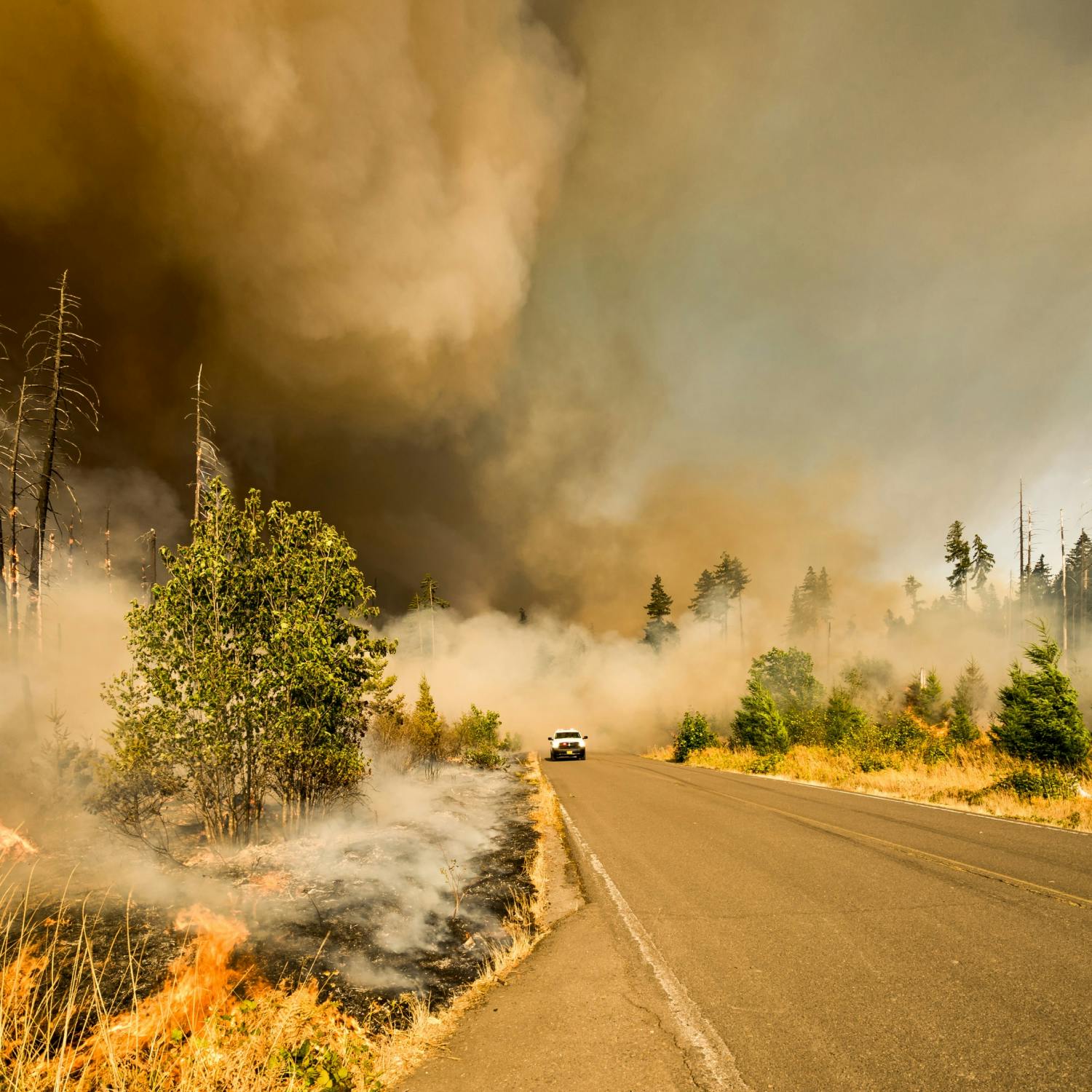 I’m a Firefighter in Australia and Climate Change Is Killing Us