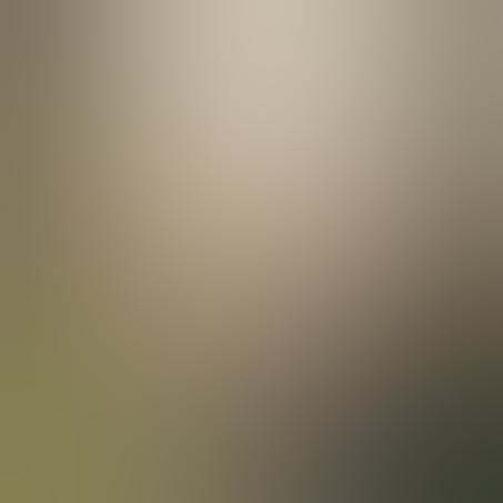 A hiker stops to take a picture of the woods