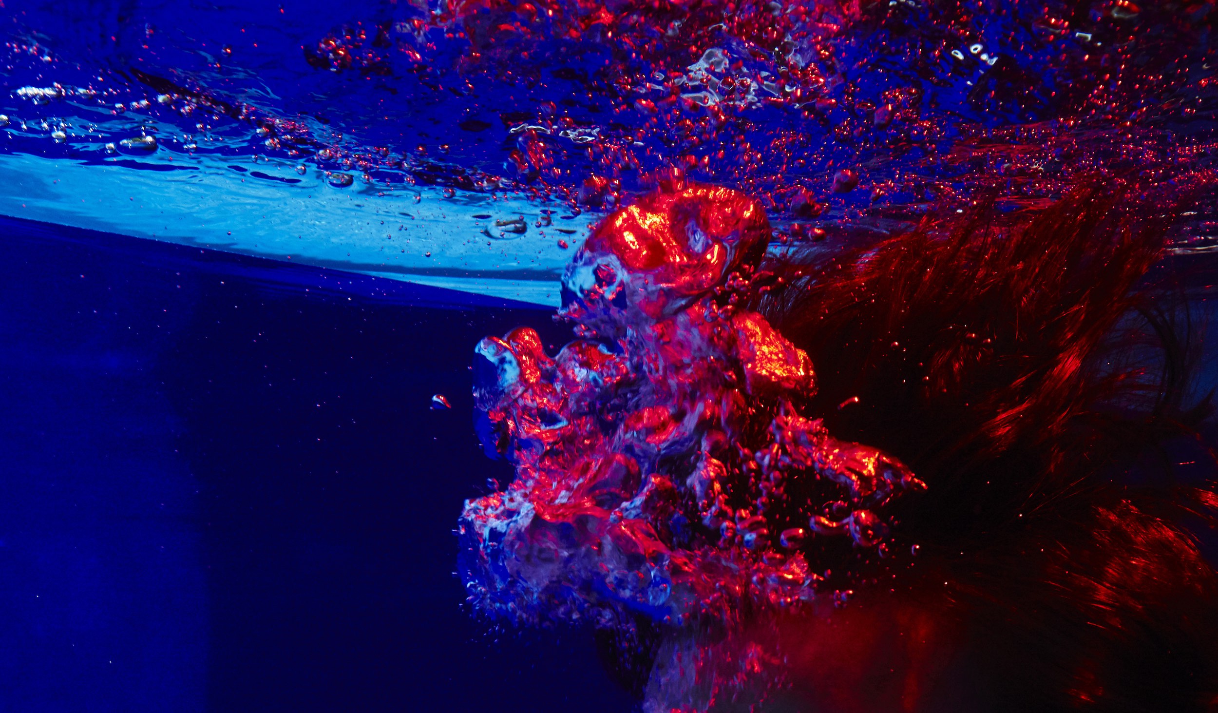 Gay Matchmaker Zurich - Gay Matchmaking Agency - London New York Berlin Toronto - The
        Echelon Scene