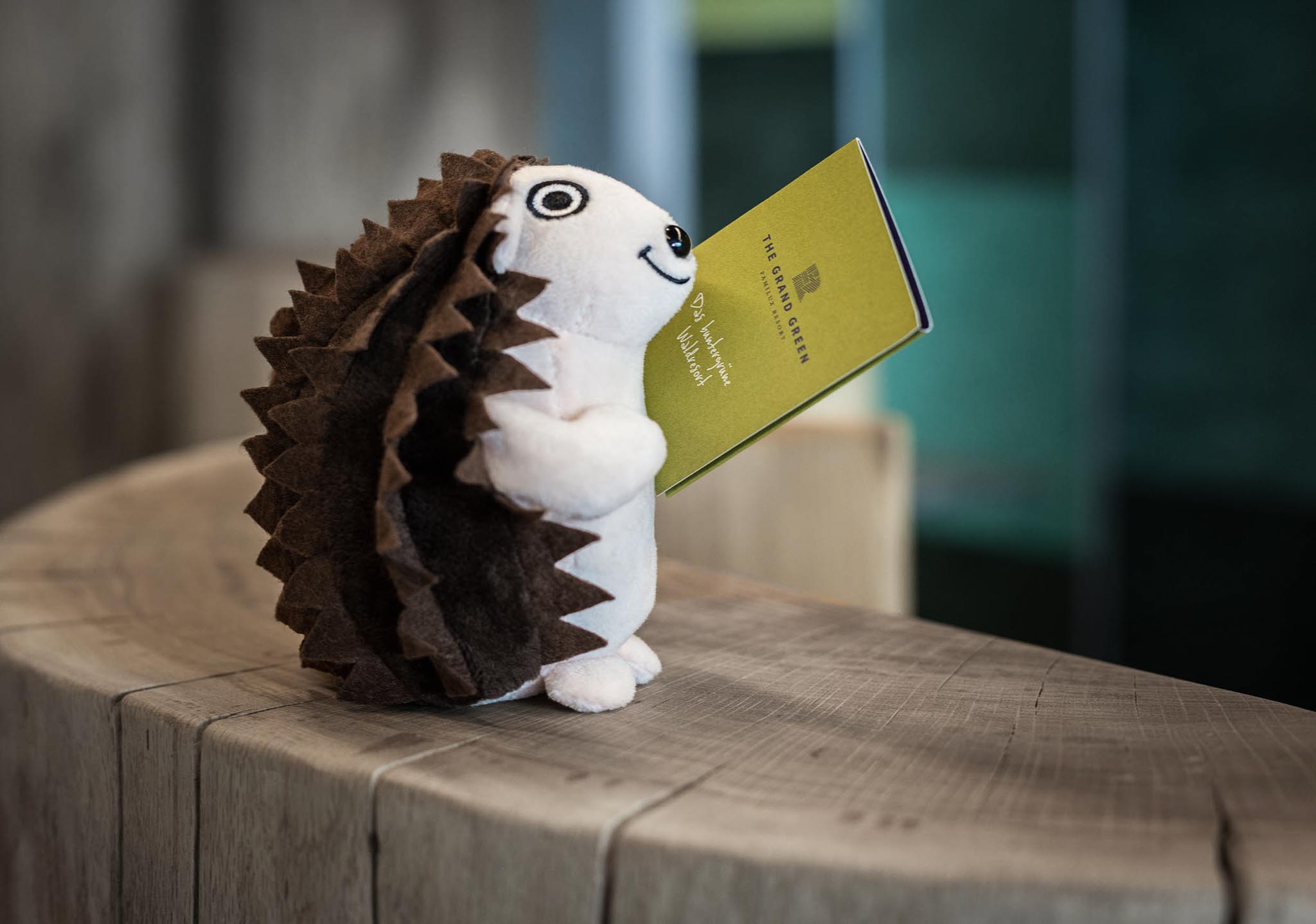 Mascot hedgehog Iknazz sitting on the reception desk with a room key card at The Grand Green – Familux Resort.