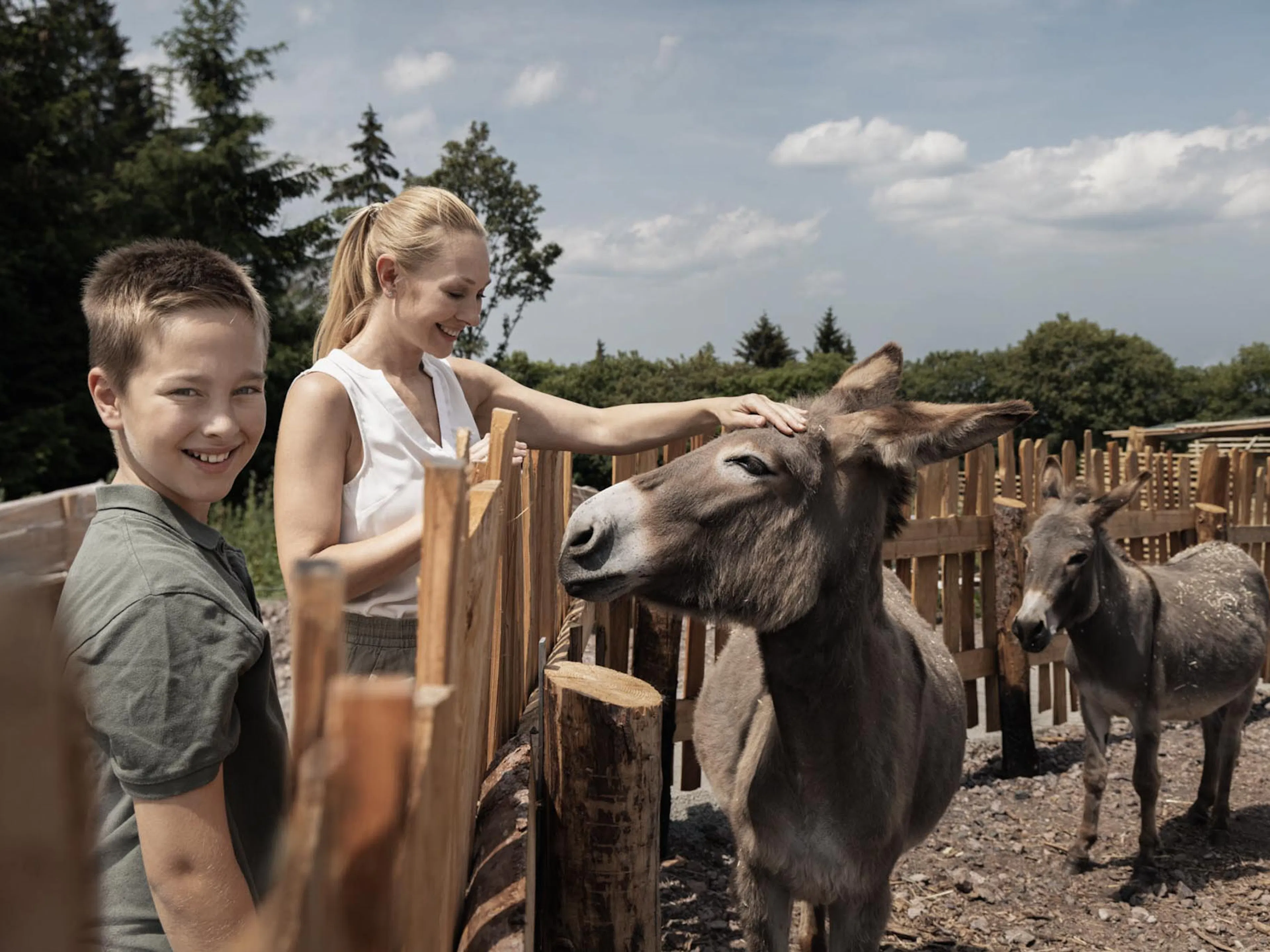 Mother and son stroking a donkey at the petting zoo of The Grand Green – Familux Resort.