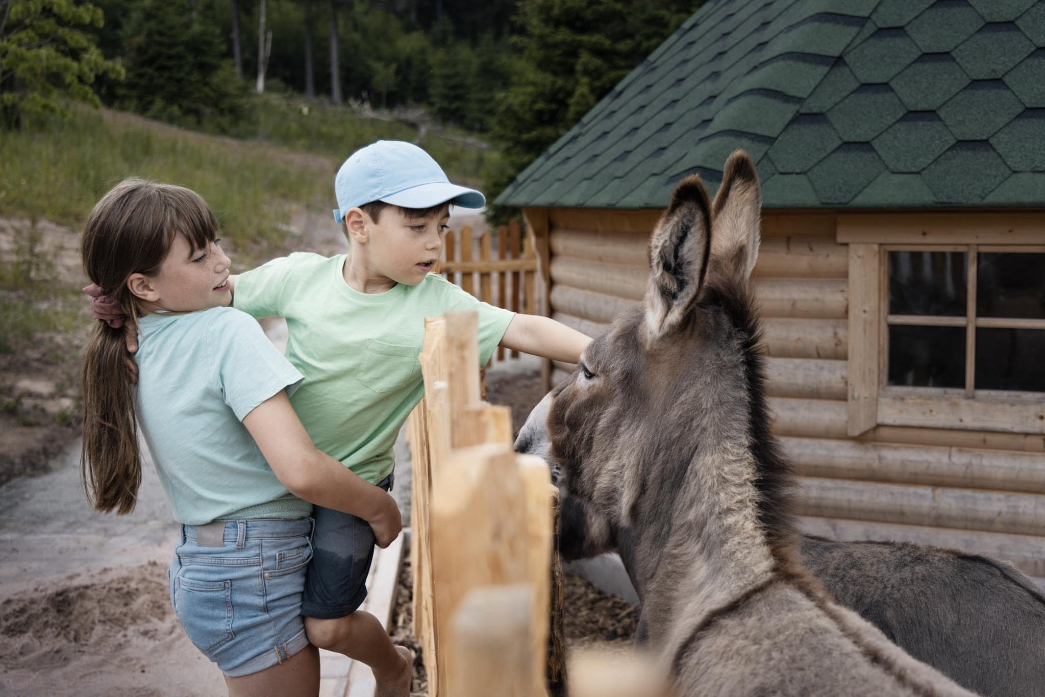 Siblings stroking a donkey at the petting zoo of The Grand Green – Familux Resort.