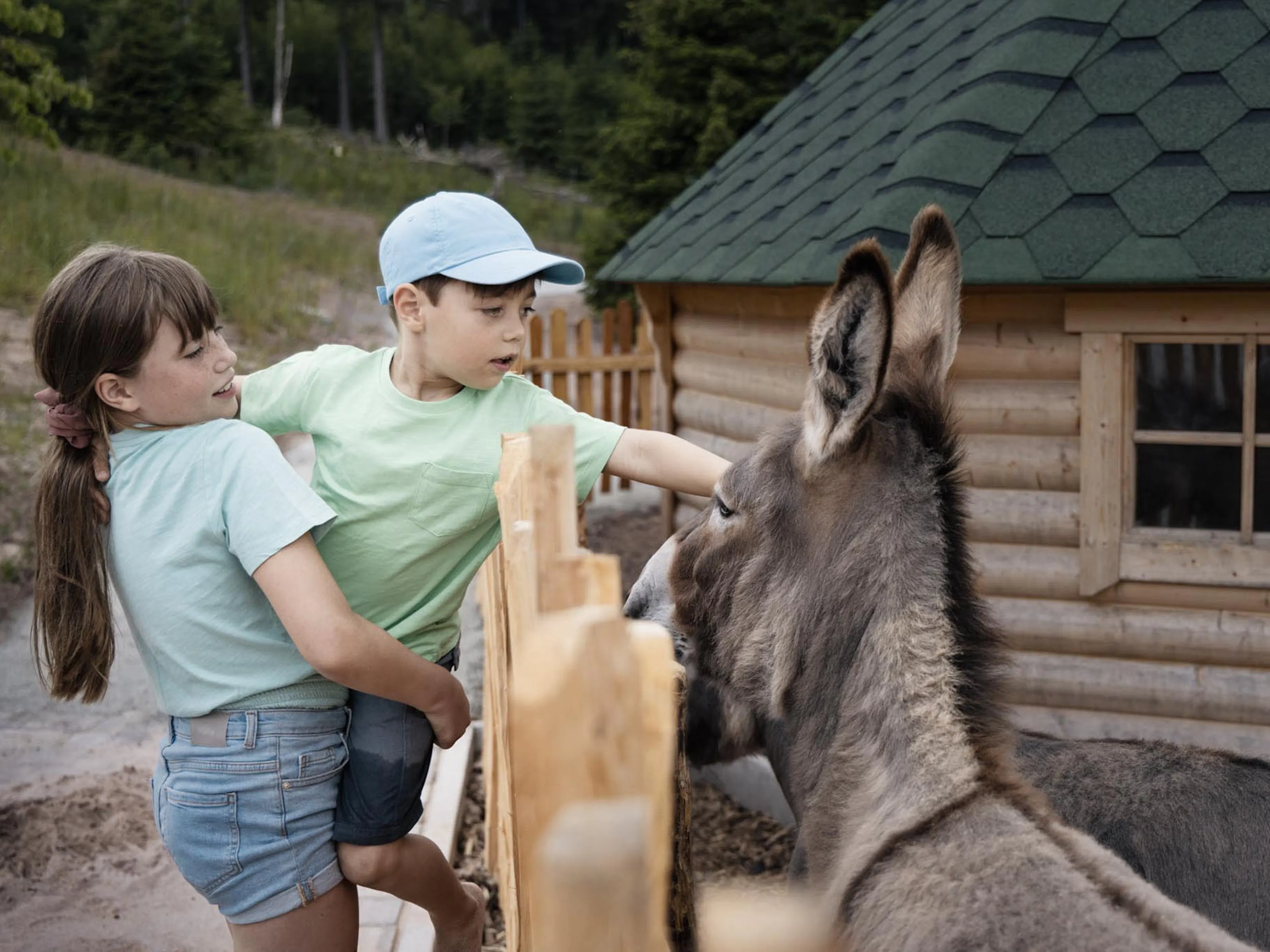 Siblings stroking a donkey at the petting zoo of The Grand Green – Familux Resort.