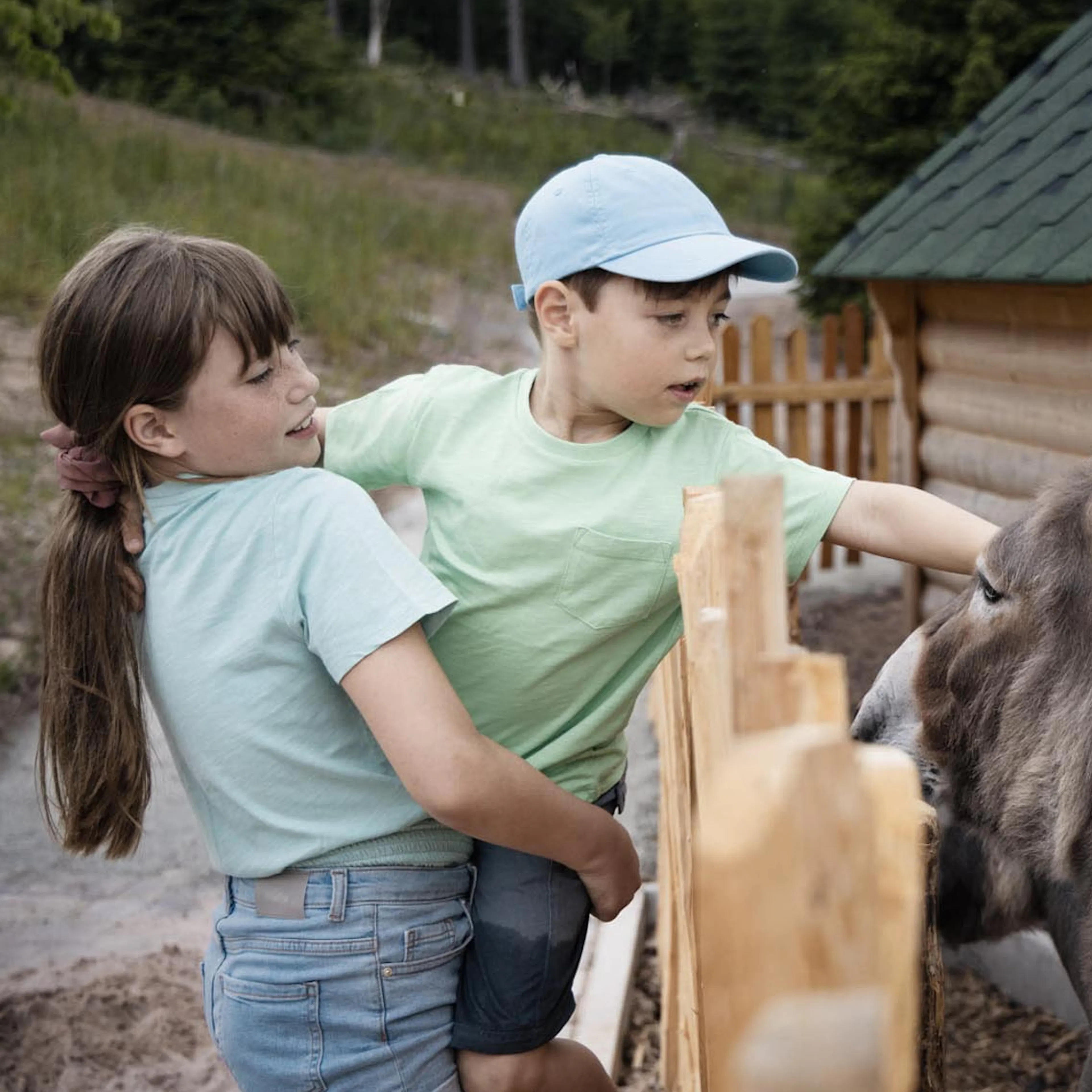 Siblings stroking a donkey at the petting zoo of The Grand Green – Familux Resort.