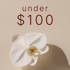 Under $100