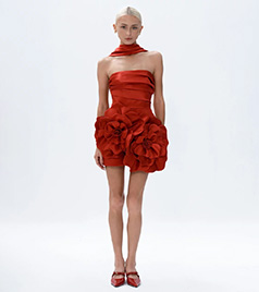 Short Formal Dresses
