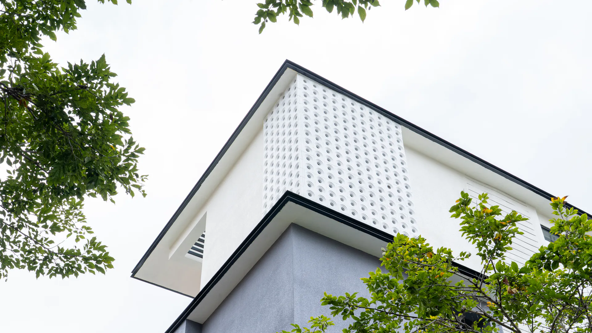 THE PERFORATED HOUSE