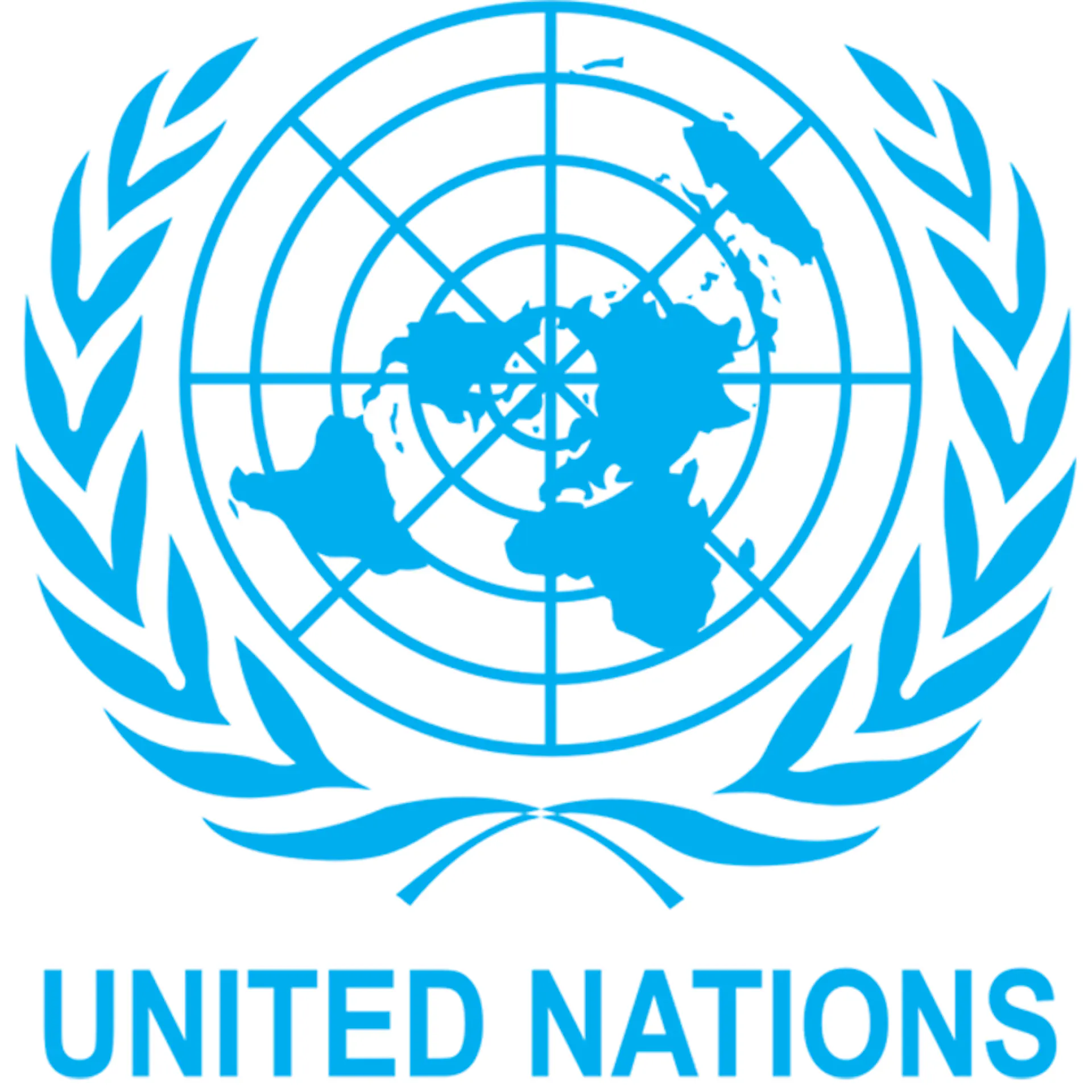 UN Emblem
