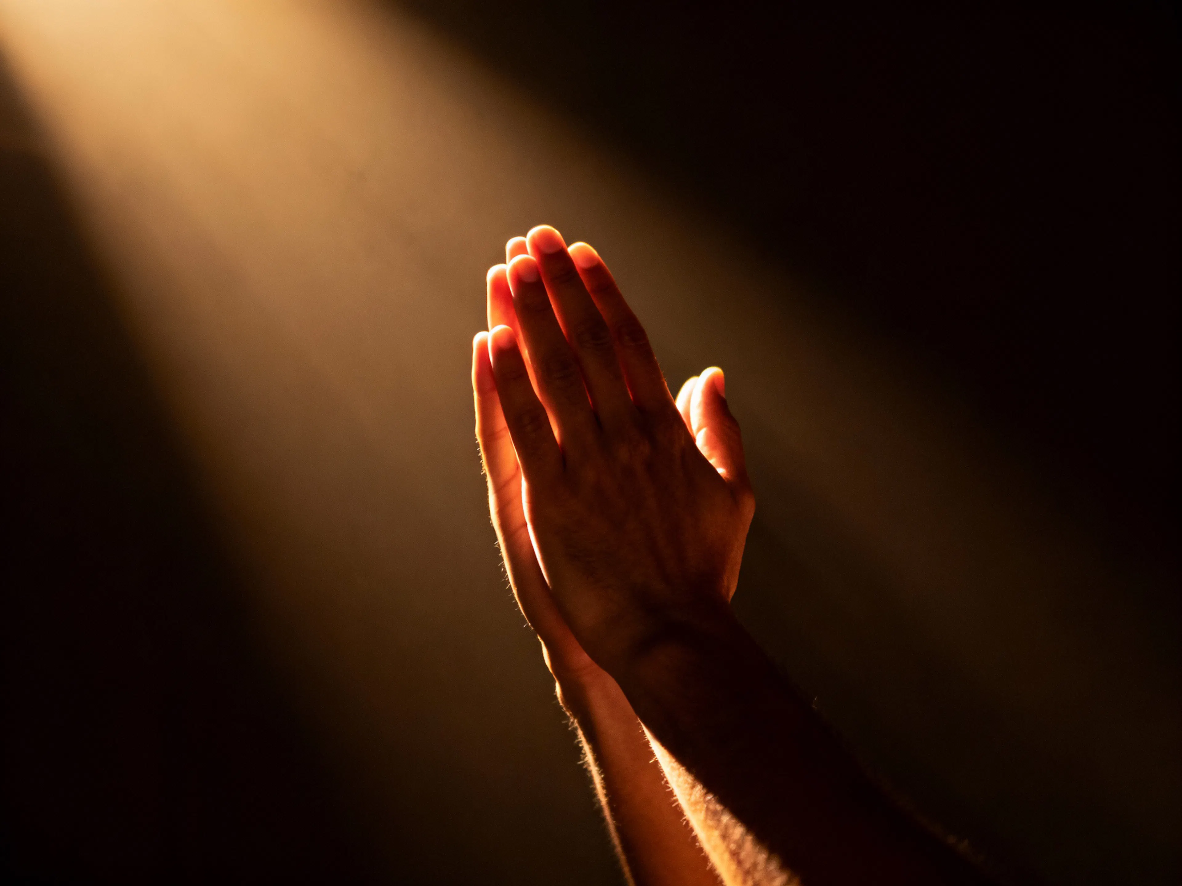 Praying hands