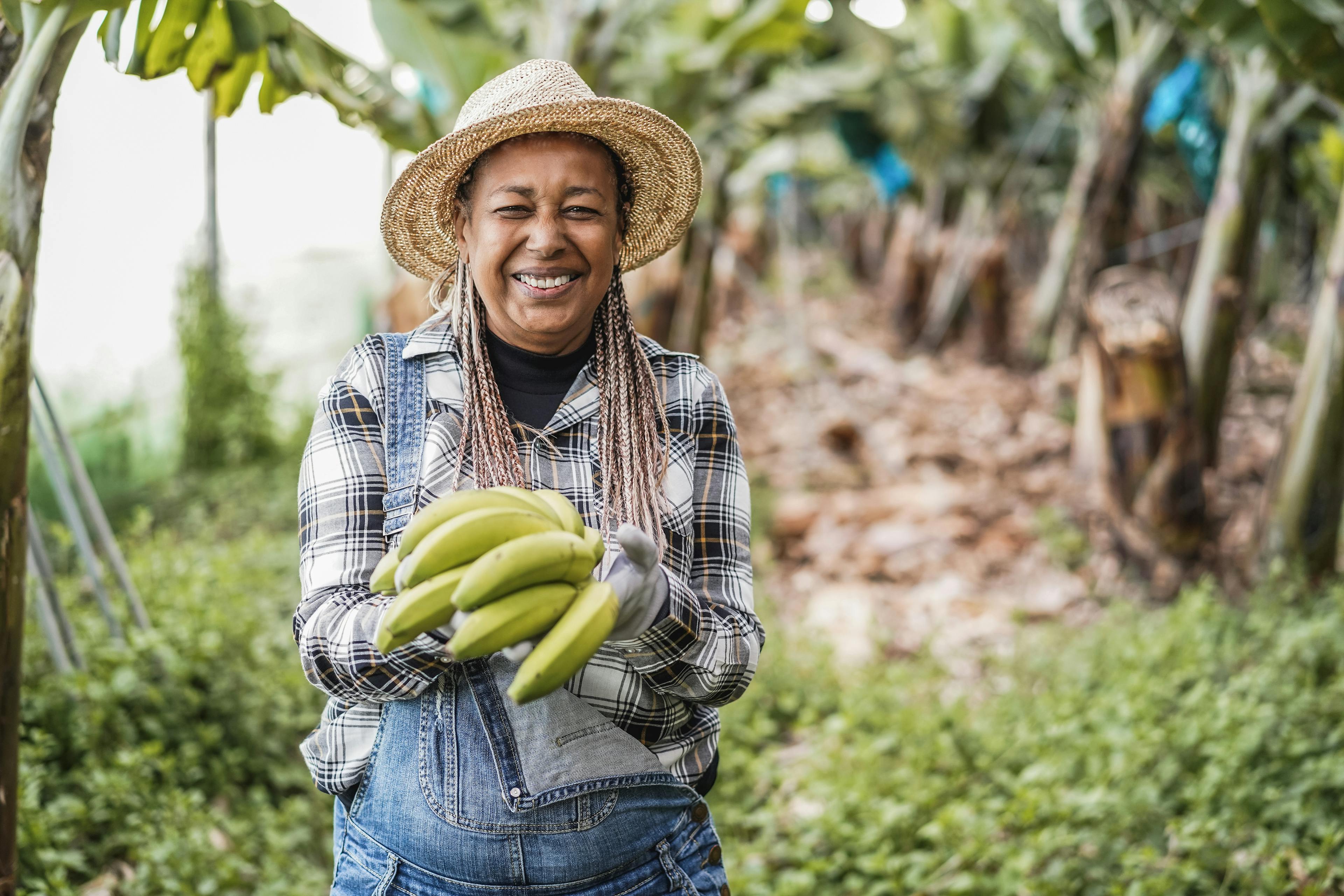 Worker in banana field