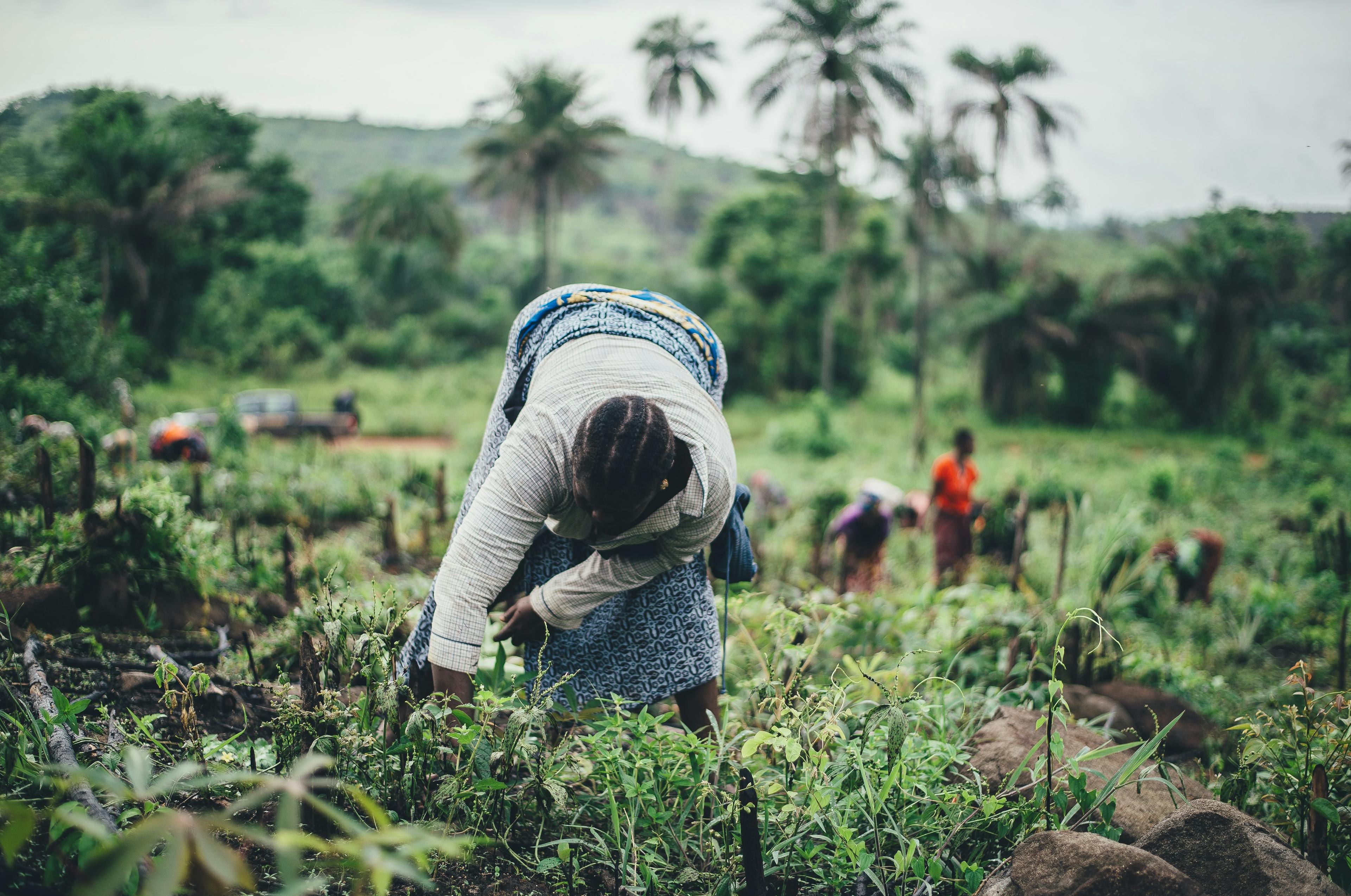 Labourer working on land