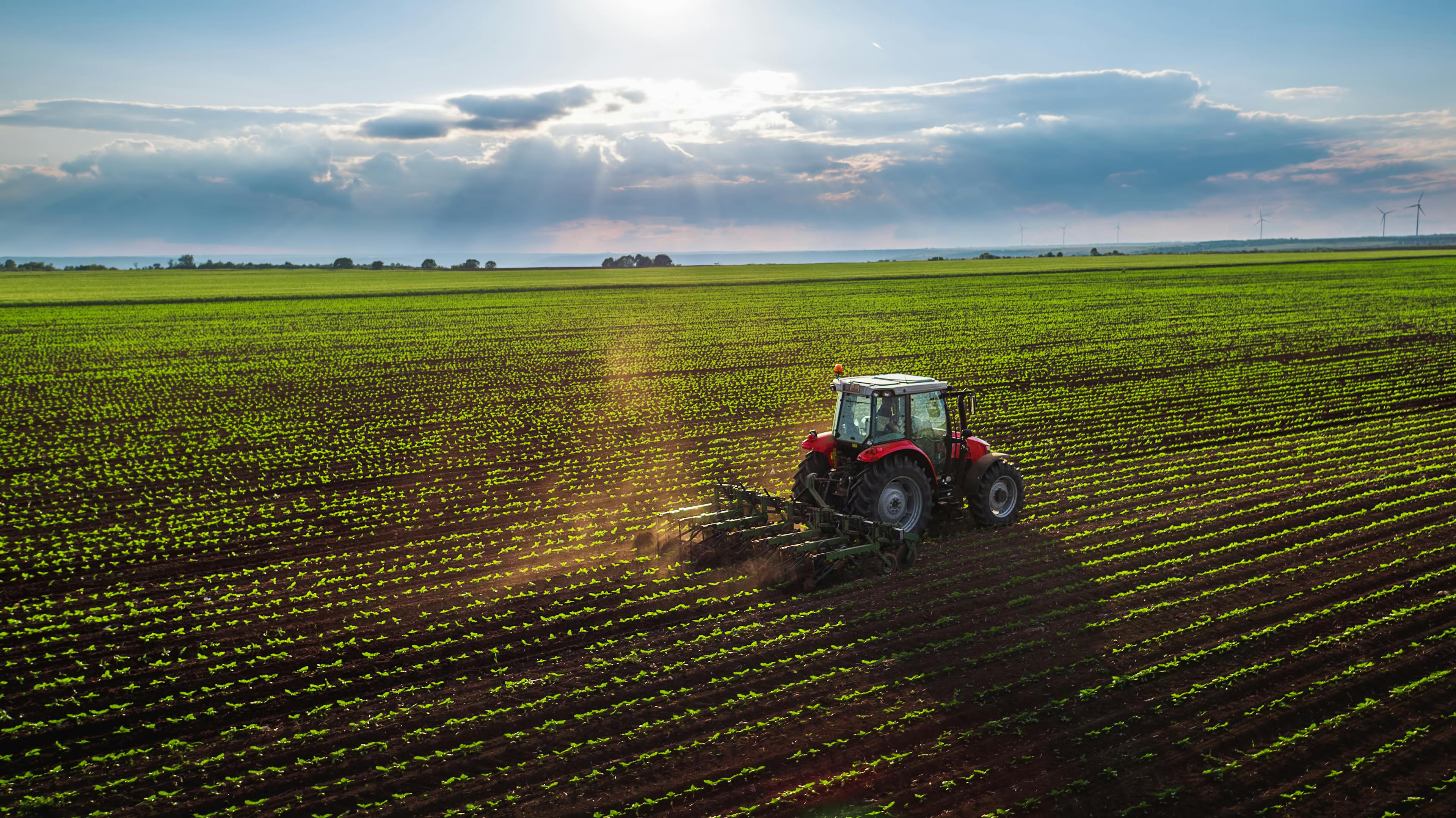 Tractor on field