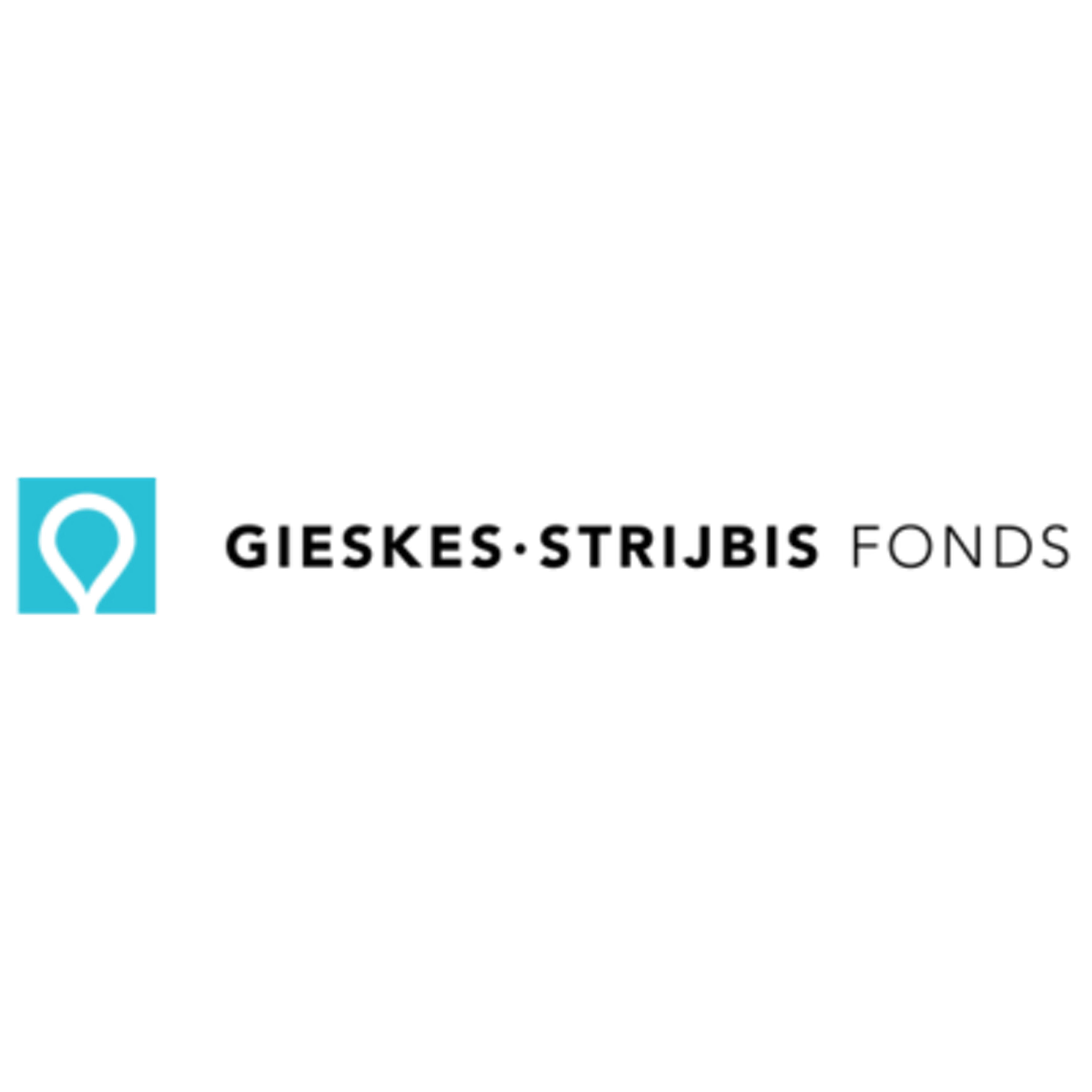 Logo Gieskes Strijbis Fonds