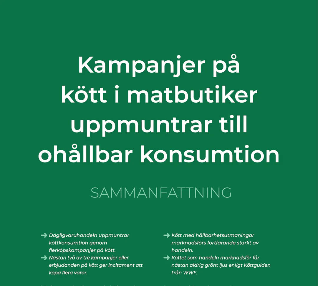 Swedish summary of Superlist Environment Sweden 2022