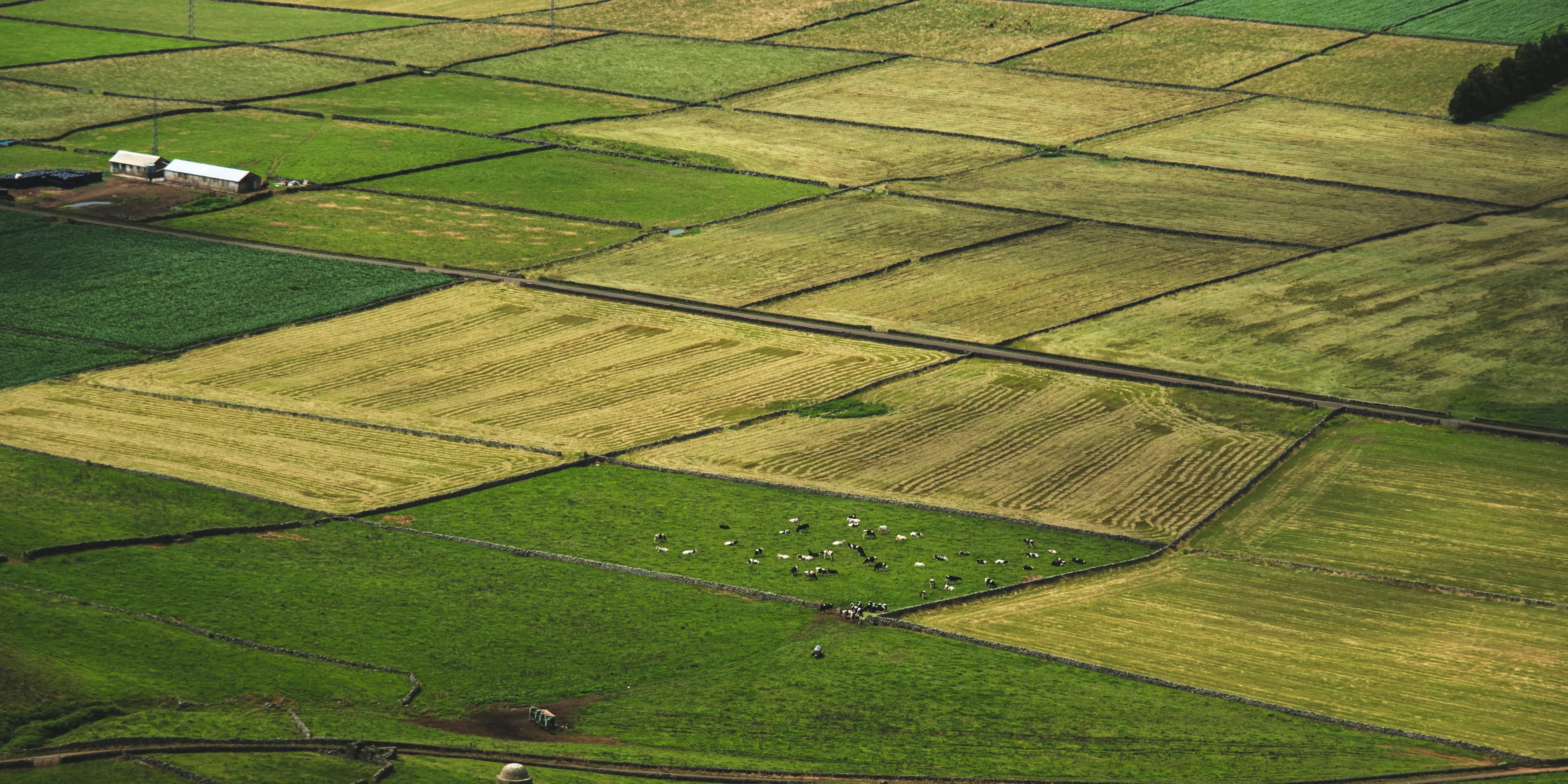Agricultural land with farm in the picture