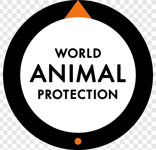 World Animal Protection