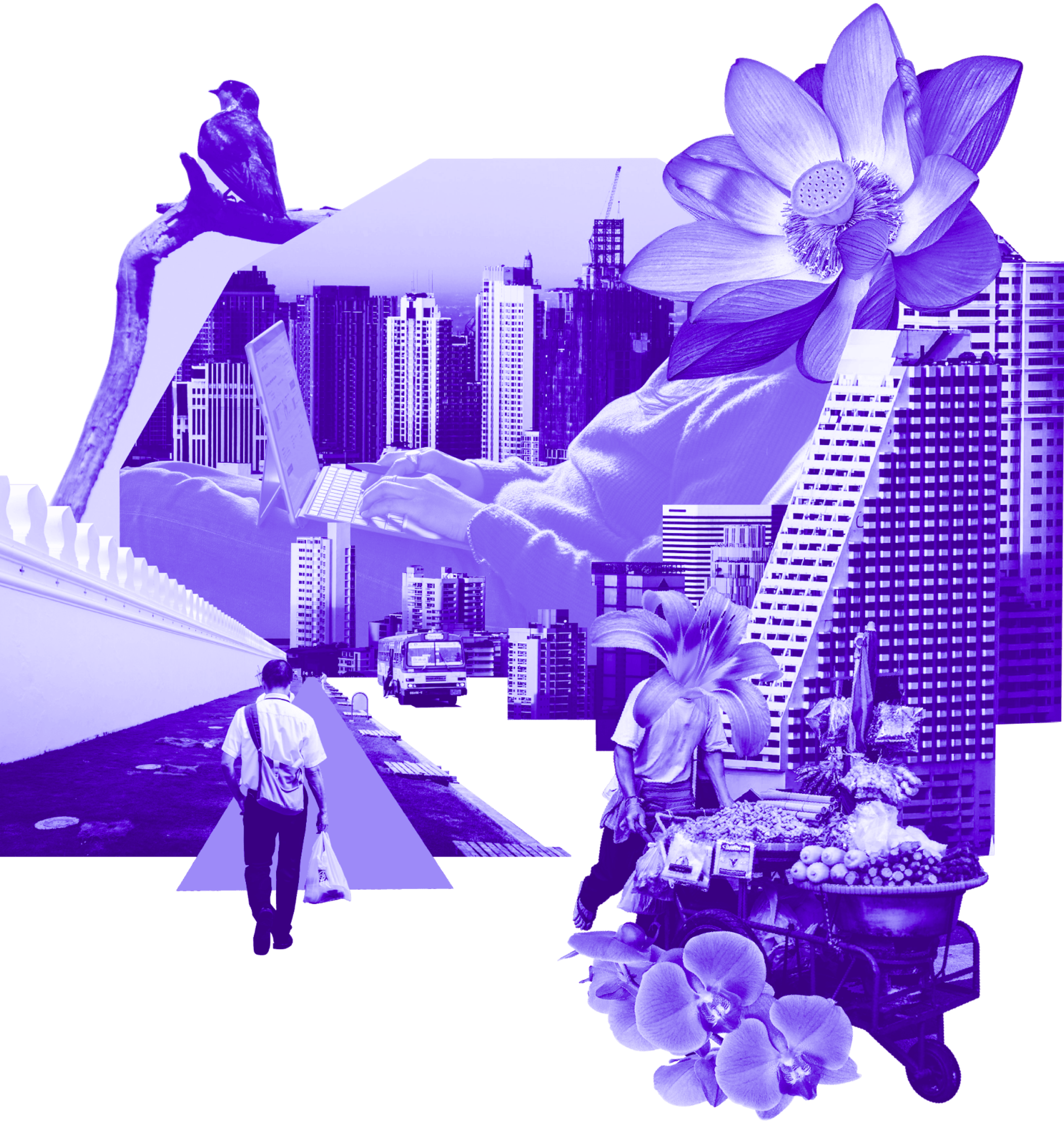 How we Invest The Radical Fund