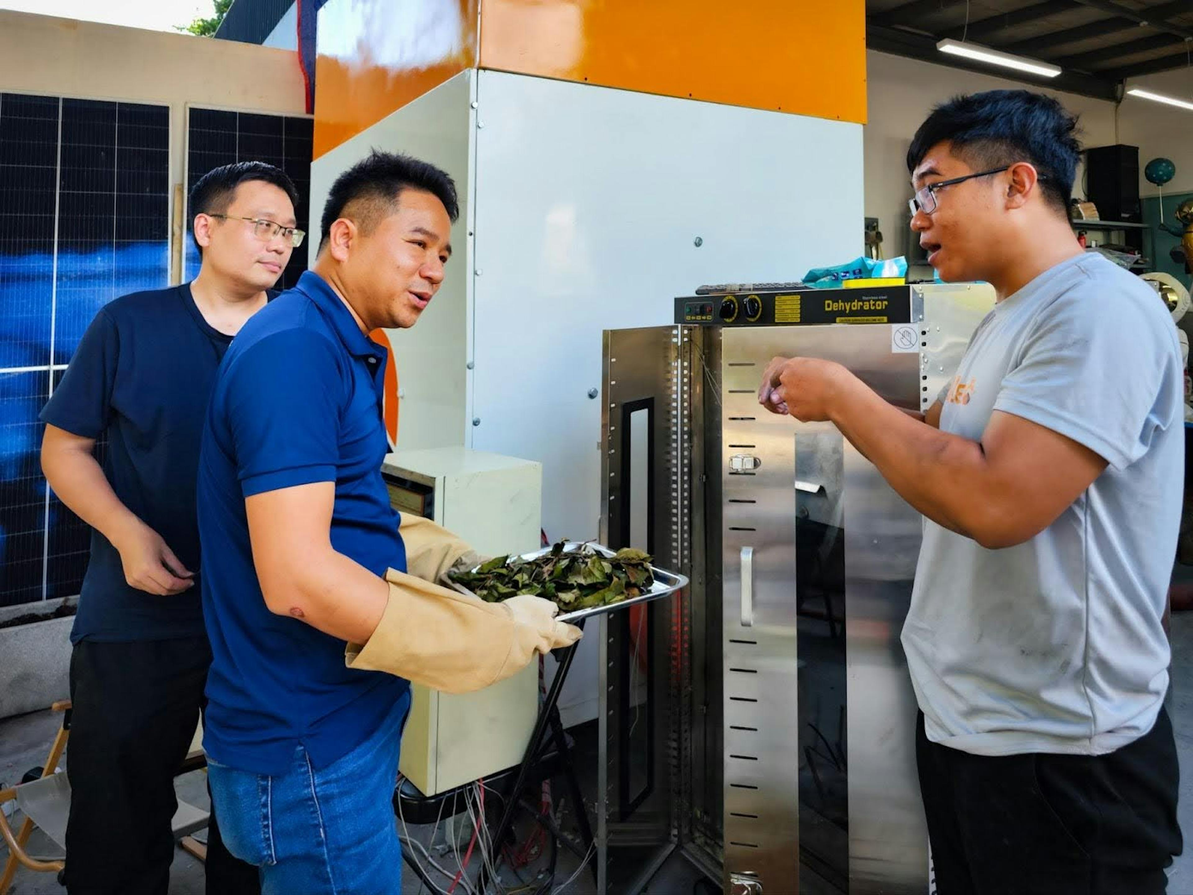 Alternō Team Showcases Zero-Emission Drying Solution for the Tea Industry