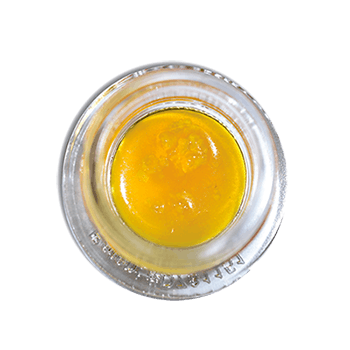 God's Breath Live Resin