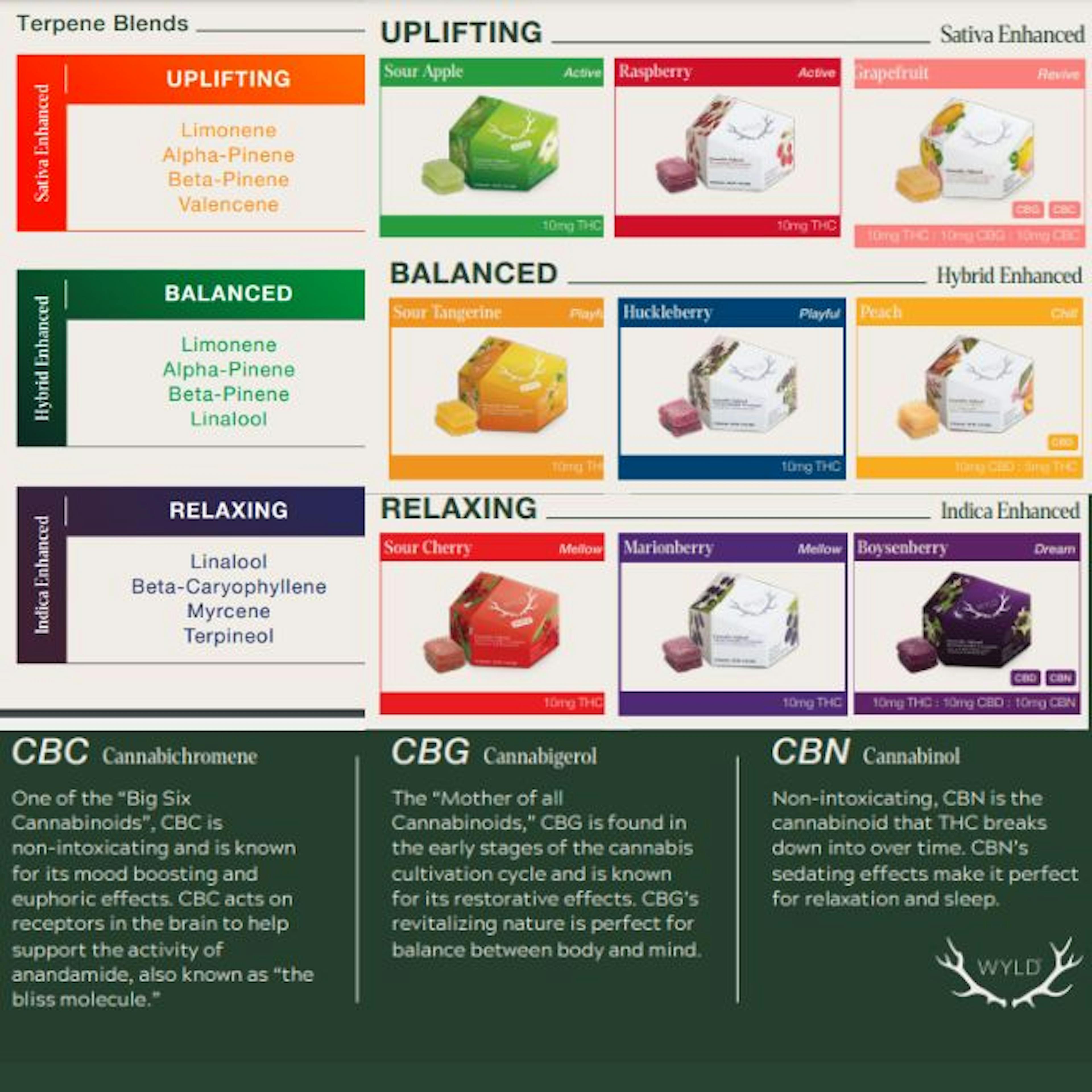 Chart displaying flavors and terpenes in WYLD Gummy THC+ products.