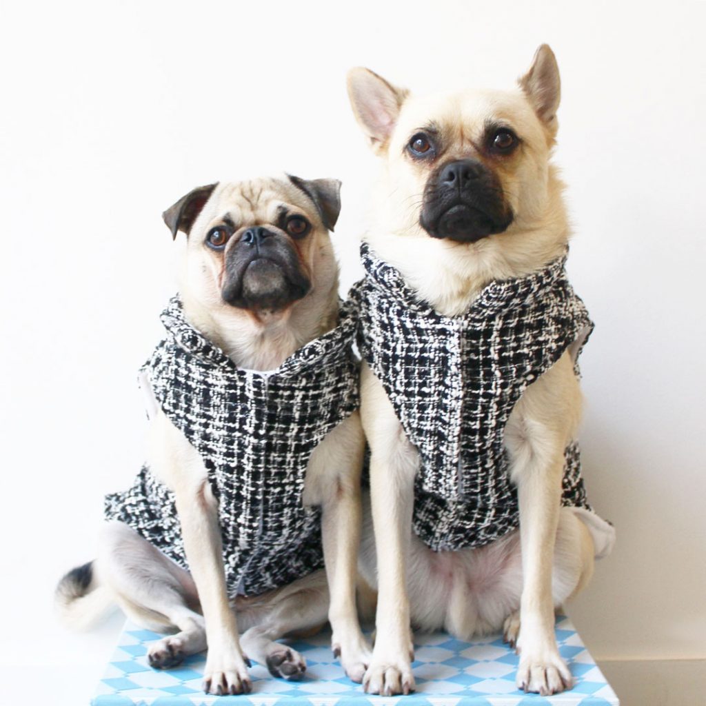 dog jackets reject shop