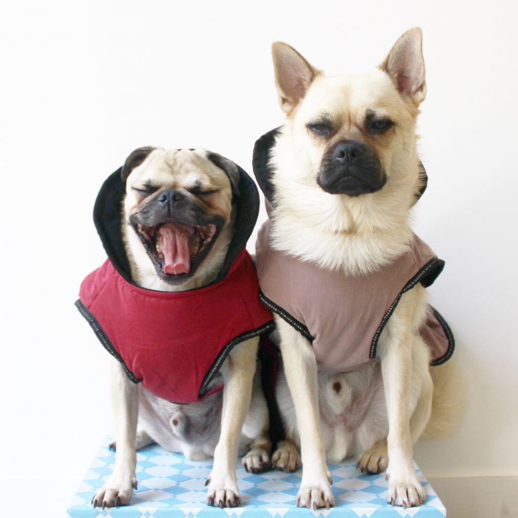 dog jackets reject shop