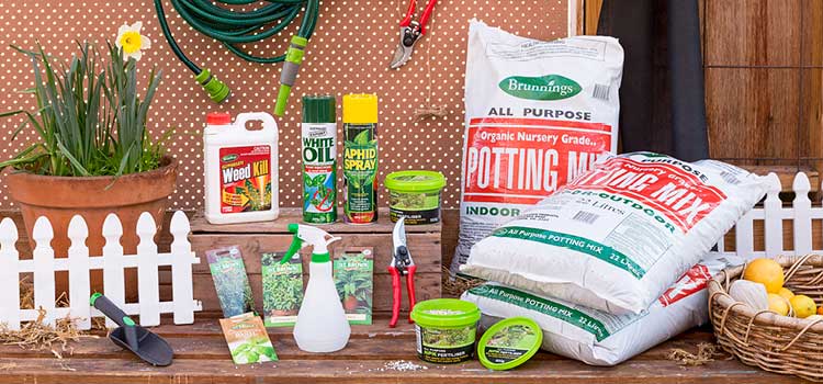 5 Savvy Ways To Beautify Your Garden The Reject Shop