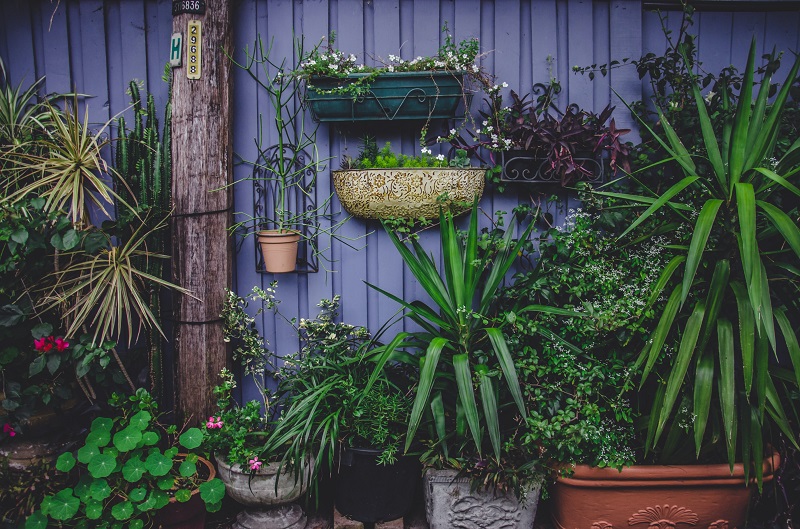 5 Savvy Ways To Beautify Your Garden The Reject Shop